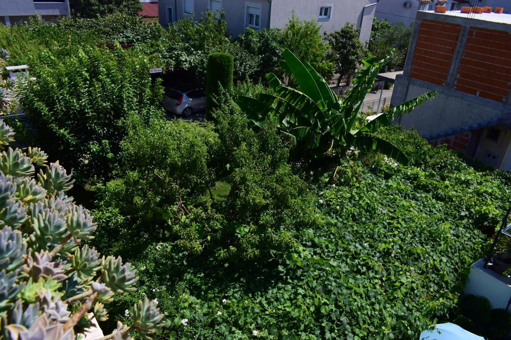 Rooms Vila Mautner Vodice Kültér fotó